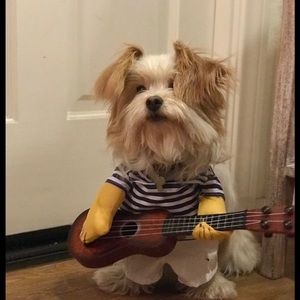 Meet your Posher, Summer